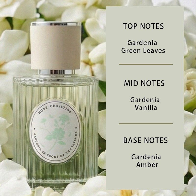 Frisches Gardenia Damenparfüm  – Amber Musk Oil Bewertung und Preis