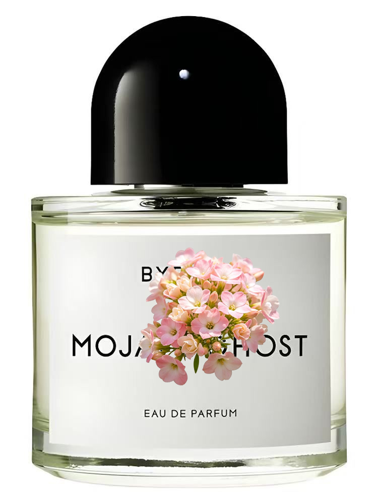 MOJAVE AUSVERKAUFT Unisex Eau  – Amber Musk Oil Bewertung und Preis