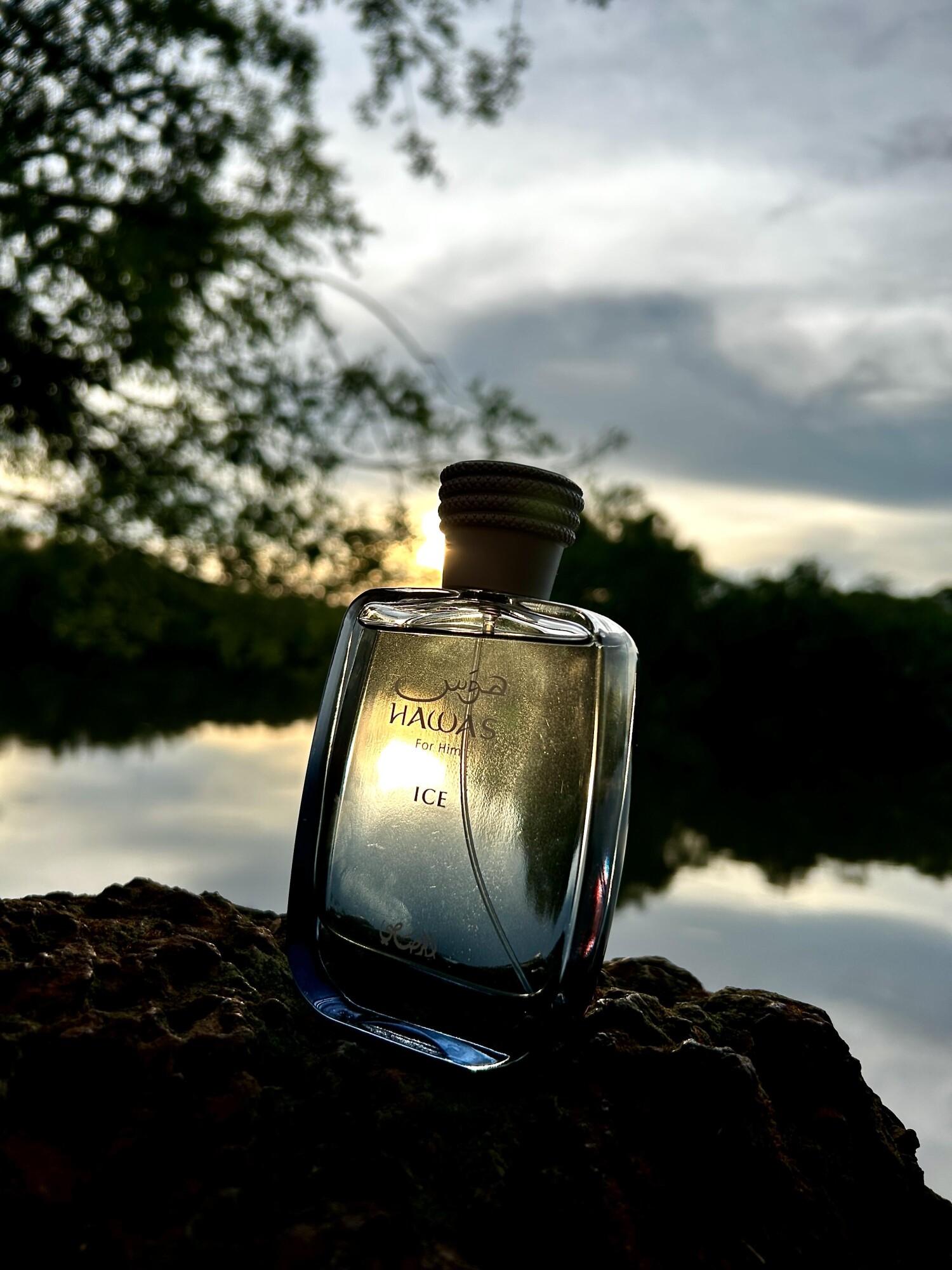 Rasasi Hawas Ice For Men Eau D – Amber Musk Oil Bewertung und Preis